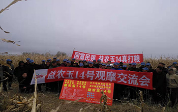 益農(nóng)玉14現(xiàn)場會(huì).jpg